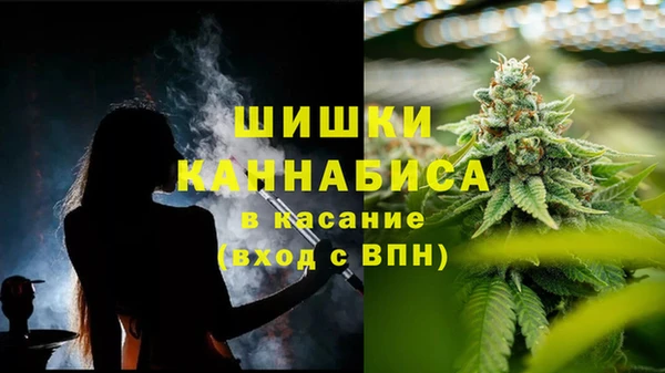 2c-b Белокуриха
