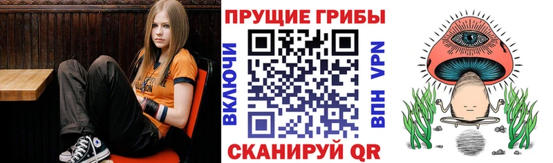 Галлюциногенные грибы ЛСД  Обь 
