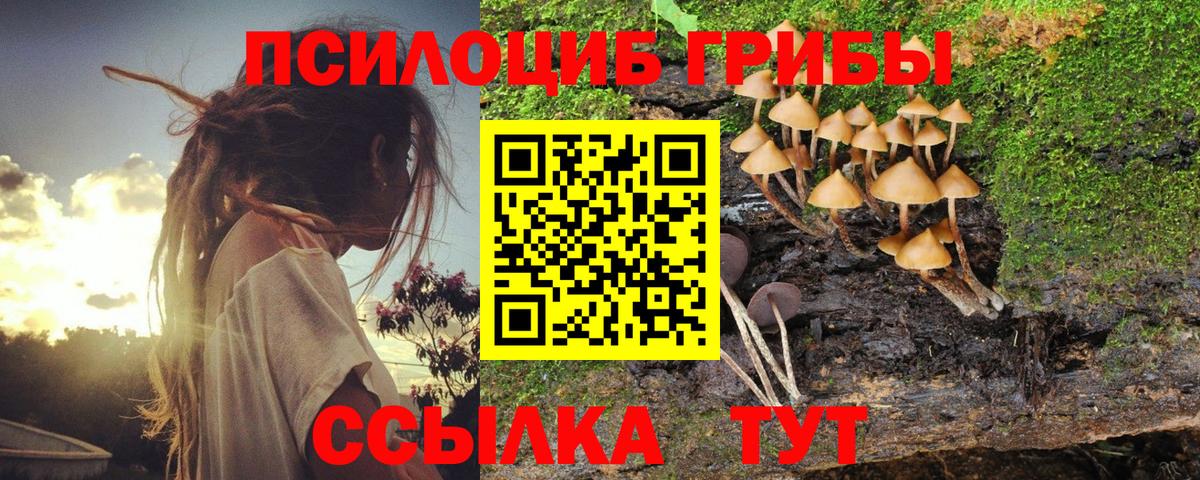 Псилоцибиновые грибы мицелий Обь