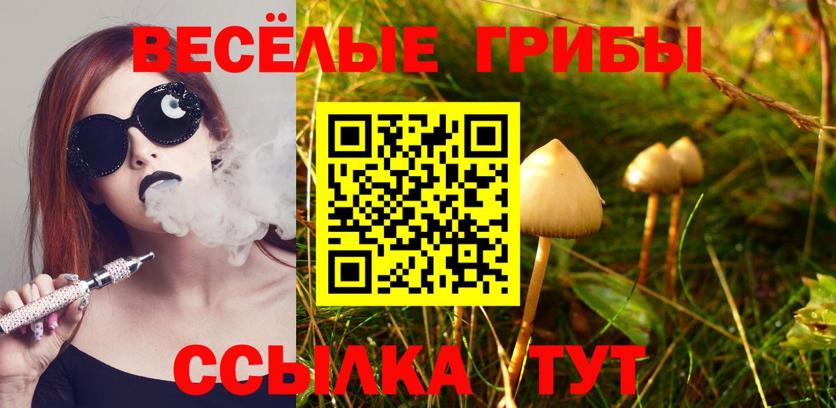 Обь  Псилоцибиновые грибы Cubensis  Вход с VPN 